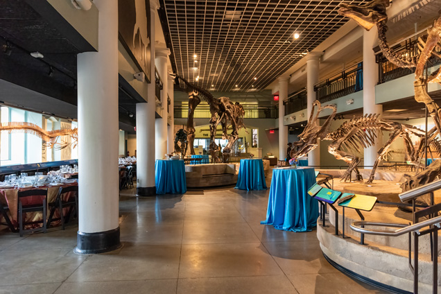 Dinosaur Hall set up with high tops covered in light blue table cloths and tables ready for a sit down dinner.
